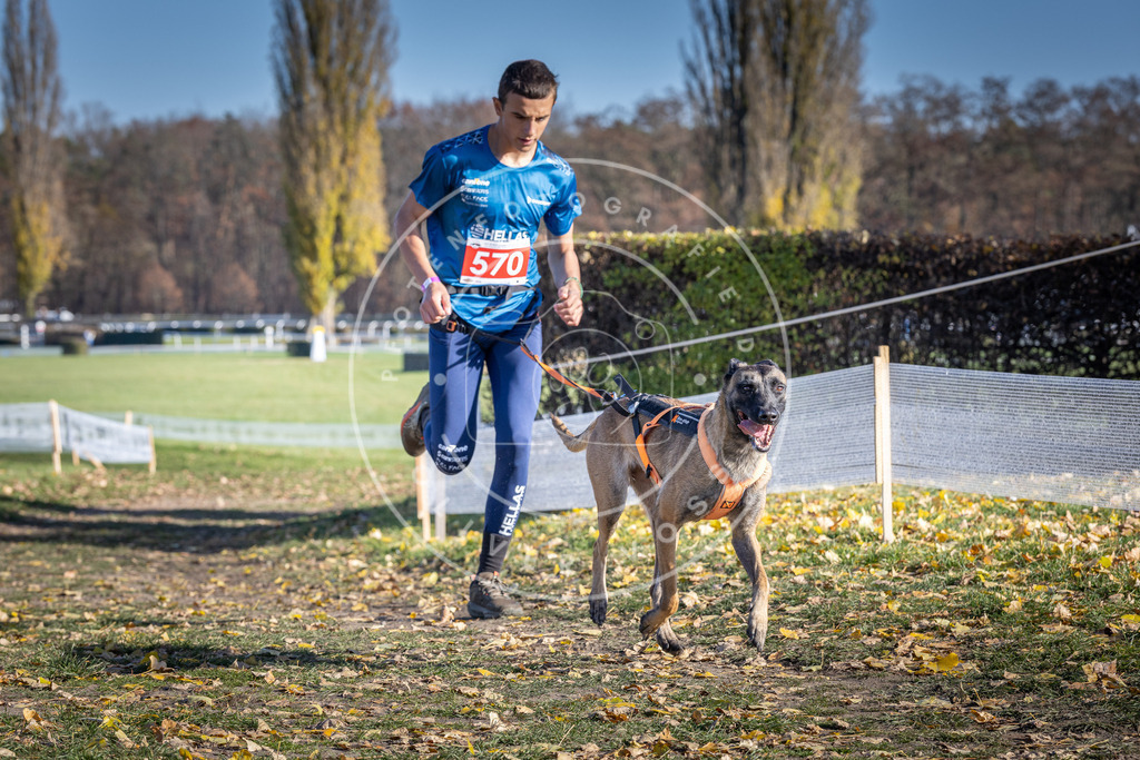 CaniXpix_DV3A8872 | Hundefotografie, Tierfotograf, Pfotenfotografie, Fotoshooting Hund, Hunde Portrait, Hundesport, Hundeportraits, Heideshooting, Hunde, Sportfotograf, Hundefotograf, Turnierhundsport, THS,  - Realisiert mit Pictrs.com