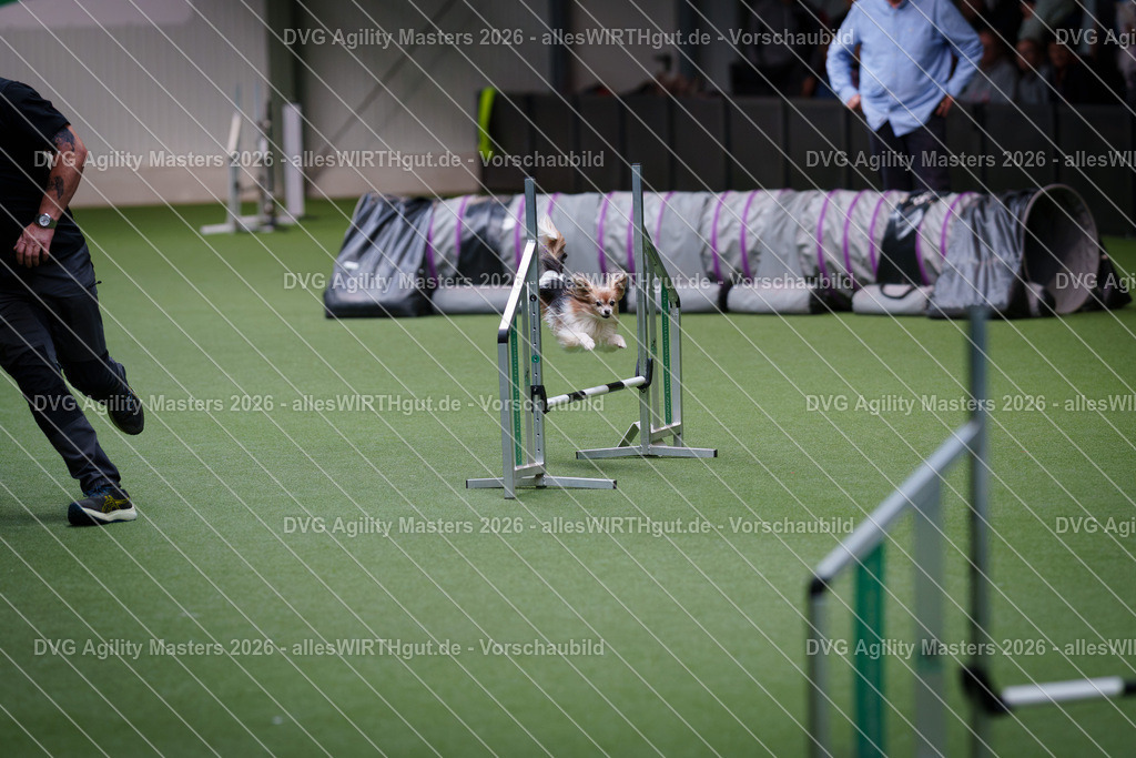 allesWIRTHgut_Tierfotografie-DVG_Agility_Masters_2026-12_15-7R507689 | Professionelle Tierfotografie in Mönchengladbach von Daniel Wirth (allesWIRTHgut). Liebevolle & natürliche Bilder von Hunden & Katzen für unvergessliche Erinnerungen.