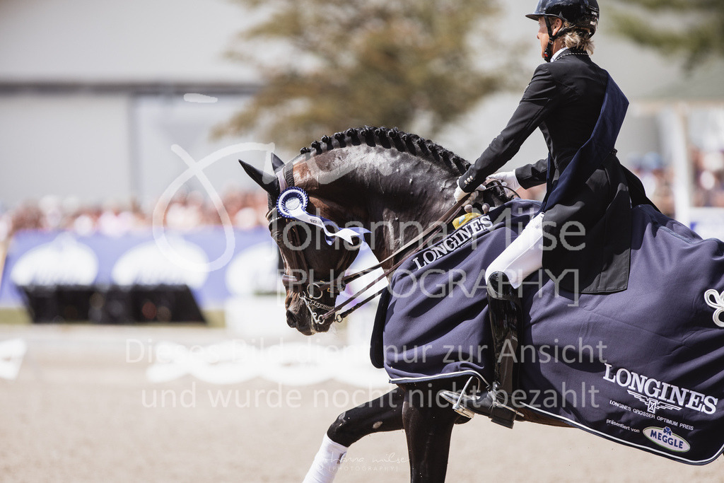 230611_Balve_Klimke-101 | Verkauf nur auf Anfrage