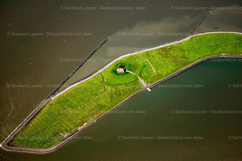 3090710 | Hallig Habel, Nationalpark Schleswig-Holsteinisches Wattenmeer