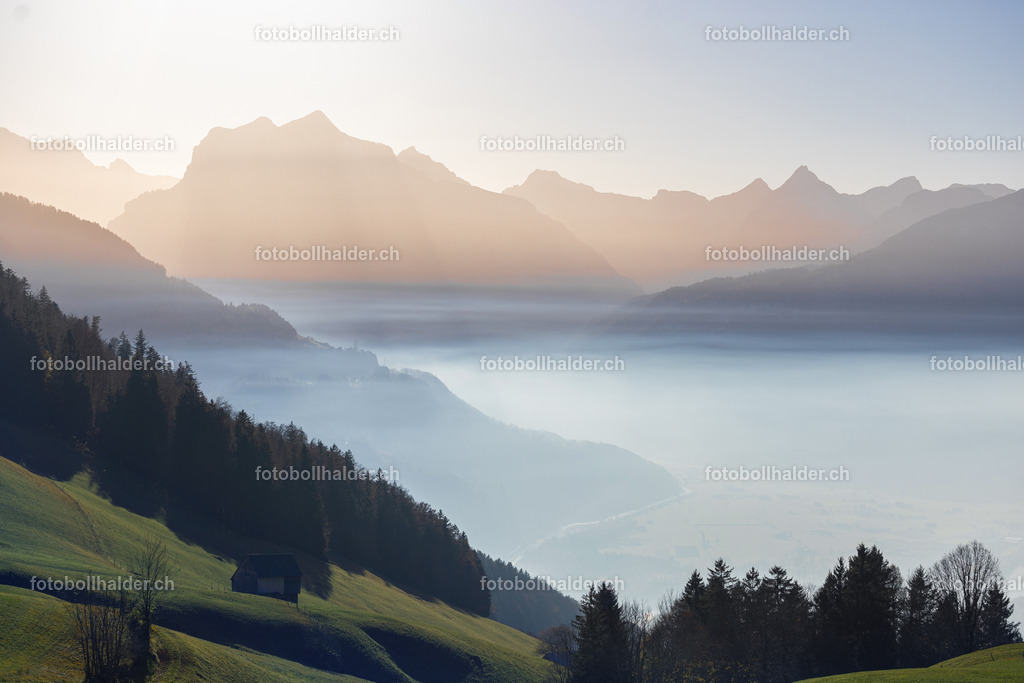 IMG_9328 | Foto Bollhalder 