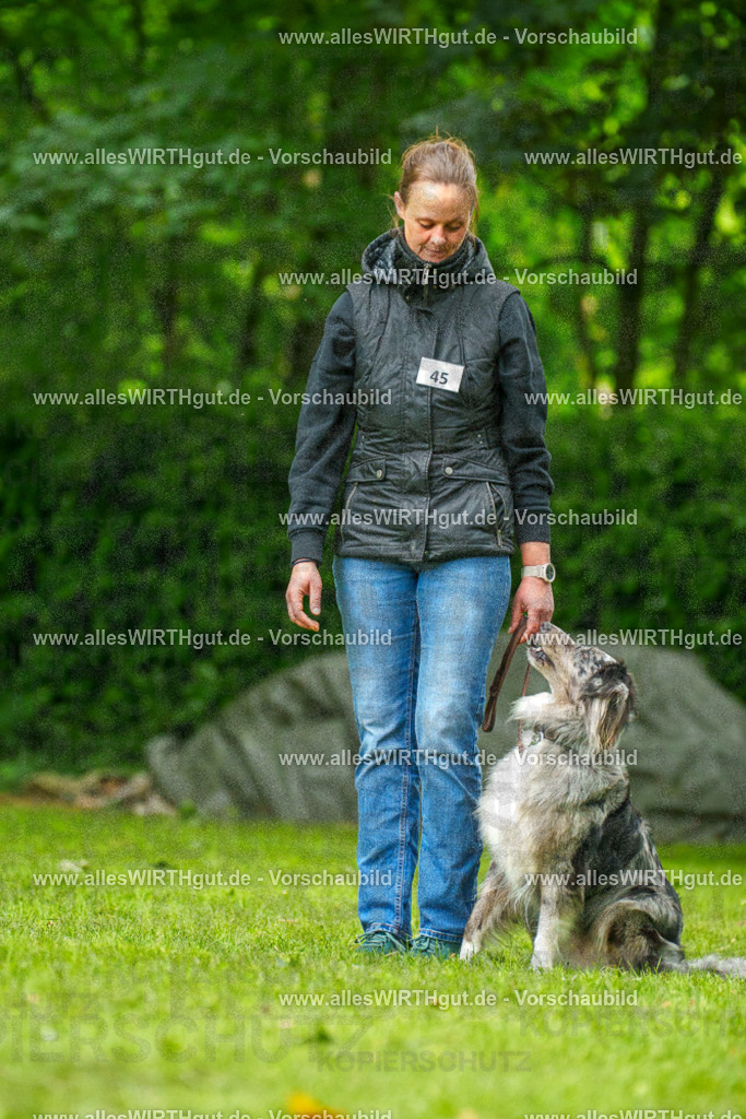 @allesWIRTHgut_Tierfotografie - www.allesWIRTHgut.de - 7R500252 | Professionelle Tierfotografie in Mönchengladbach von Daniel Wirth (allesWIRTHgut). Liebevolle & natürliche Bilder von Hunden & Katzen für unvergessliche Erinnerungen.