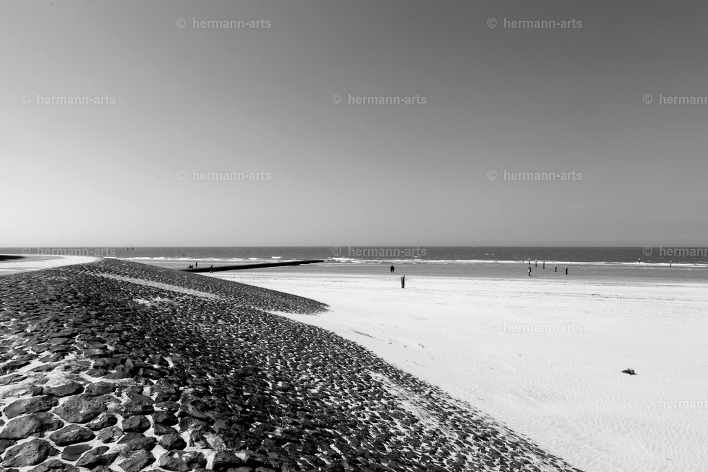 Hermann-Arts_Seaside_213 | Photo Foto Kunst Art schwarzweiss Bilder Rheine Münster Berlin Blumen 