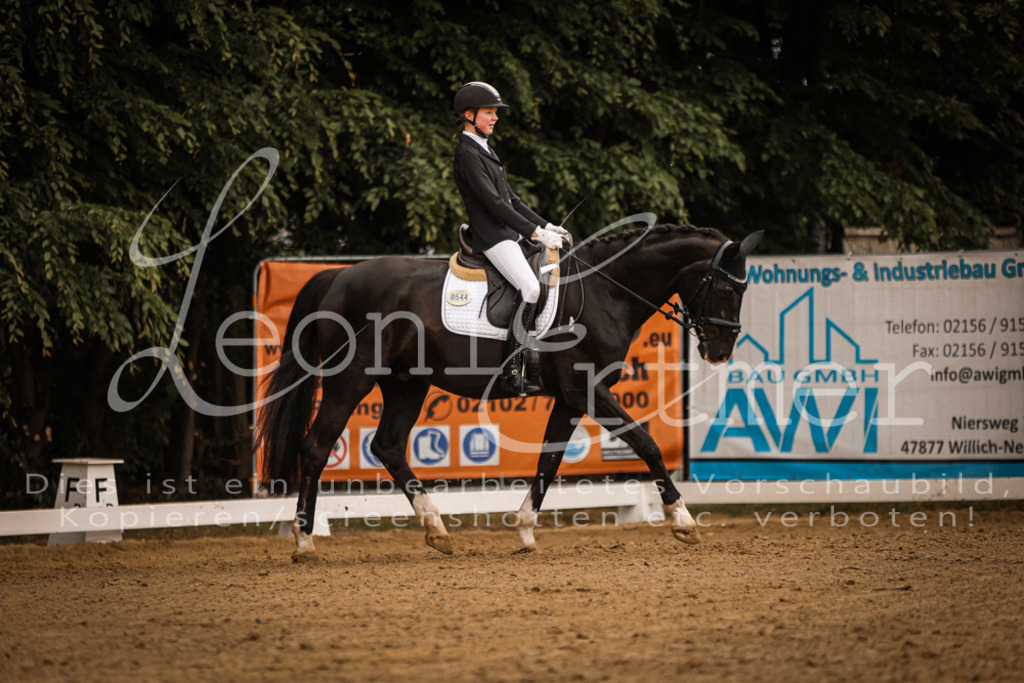 DoDrE00147 | Leoni Ertmer Photography - Realisiert mit Pictrs.com