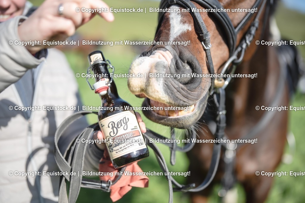 20251011_Jagd-Marbach_0527 | Foto: Thomas Hartig