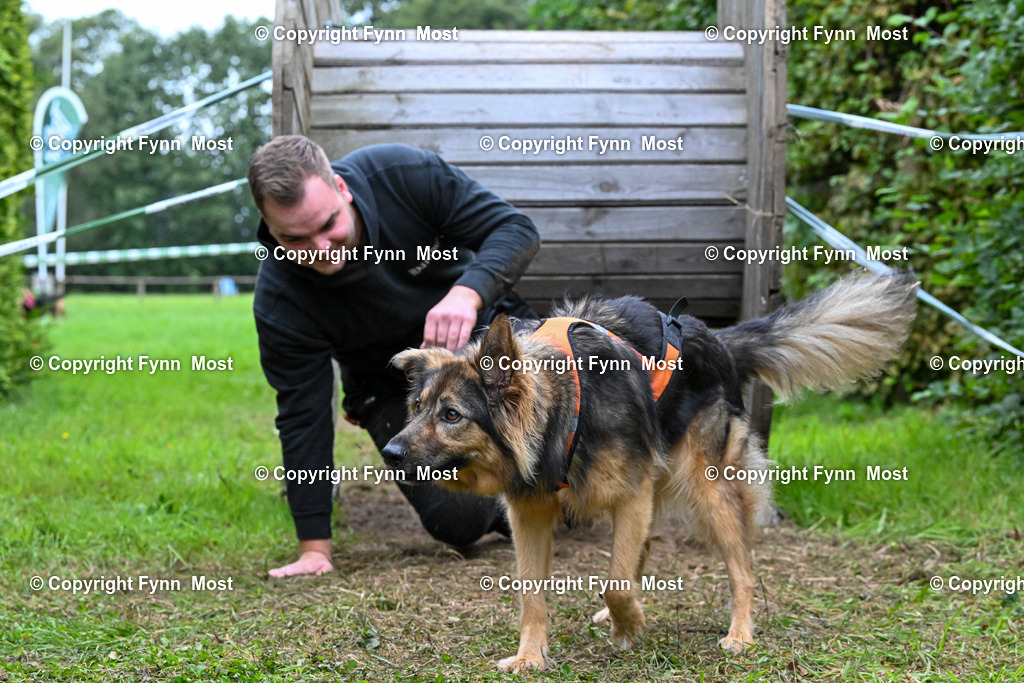 DSC_1186 | Hallo und herzlich Willkommen auf meiner Shop-Seite Fynn Most.

Ich wünsche Dir viel Spaß beim stöbern durch die Bilder, wenn Du Fragen hast oder Bilder vermisst, kannst du mir gerne eine Nachricht schreiben. - Realisiert mit Pictrs.com