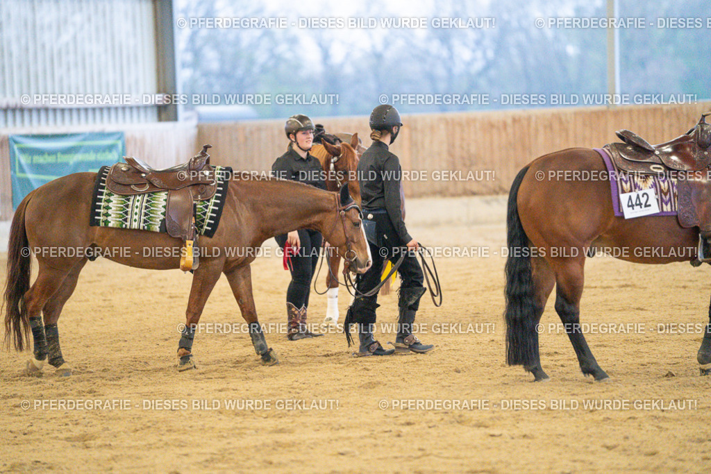 DSC09590 | Pferdegrafie