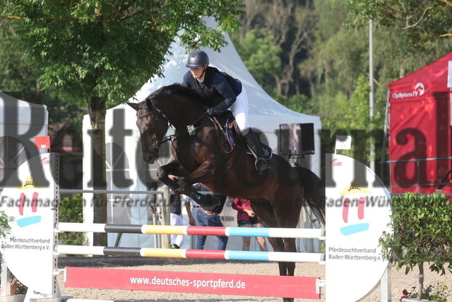 Weilheim_2024_Prfg.Nr.10_Springprfg_Kl.A_Sarah Pfeifer__Bwenno 181 (5) | Alle Fotos der Reiterjournal Fotografin Doris Matthaes im Reiterjournal Online-Fotoshop. - Realisiert mit Pictrs.com