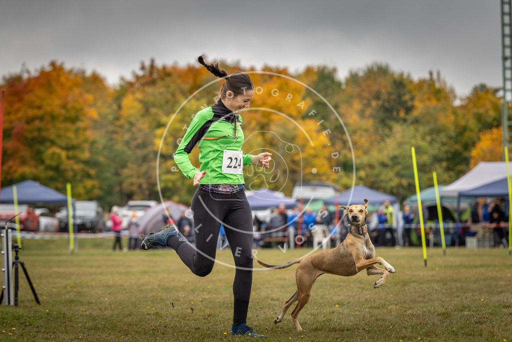 Pfotenfotografie_DV3A3901 | Hundefotografie, Tierfotograf, Pfotenfotografie, Fotoshooting Hund, Hunde Portrait, Hundesport, Hundeportraits, Heideshooting, Hunde, Sportfotograf, Hundefotograf, Turnierhundsport, THS,  - Realisiert mit Pictrs.com