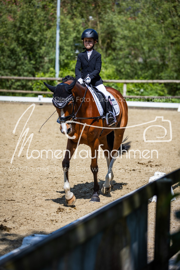 Donop24-RWB-037 | MomenTaufnahmen Pferdesportfotos