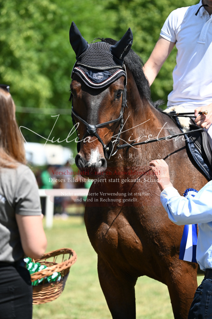 DSC_0884 | Pferde- und Turnierfotografie in Westsachsen. Pferdeportraits, Auftragszeichnungen und intuitive Kunst.