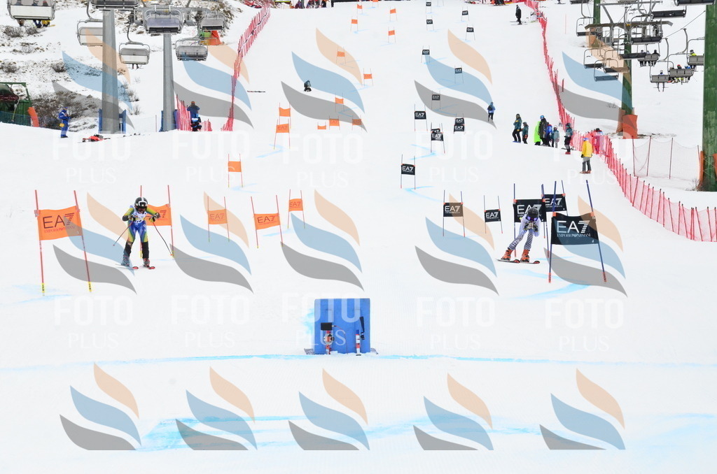 _ELE3945 | holidayphoto