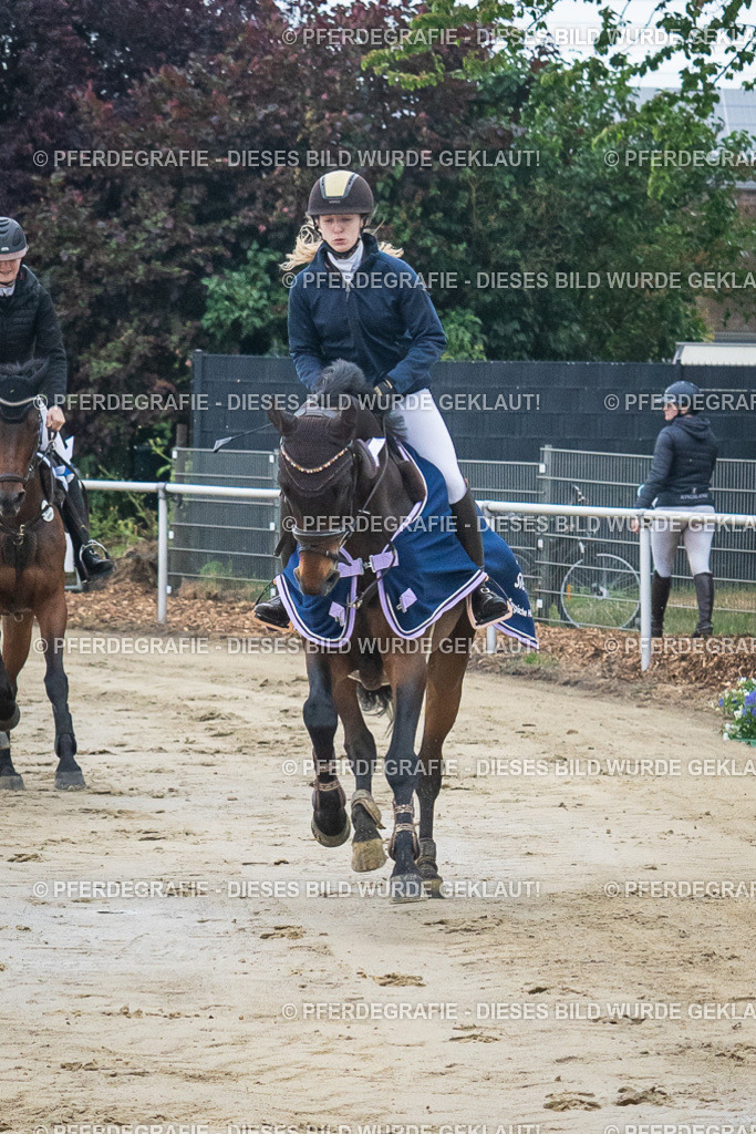 DSC04314 | Pferdegrafie