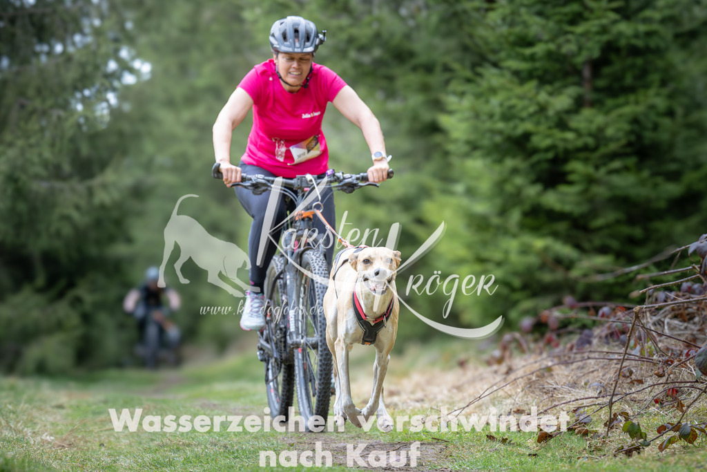 1310_ZZ93805 | kk-dogfotos