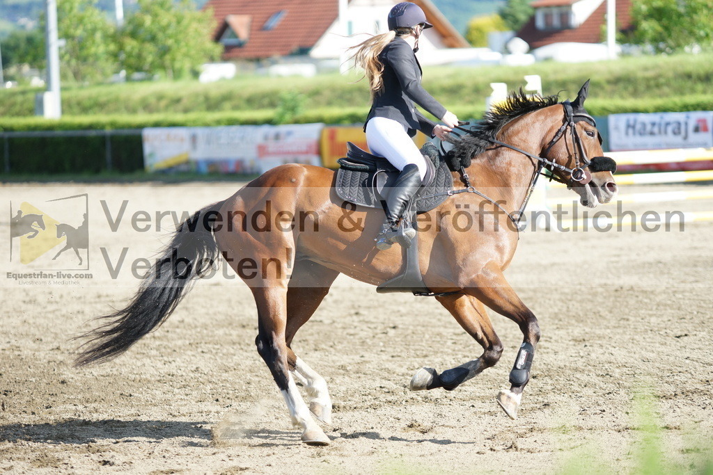 DSC05570 | equestrian-live-com