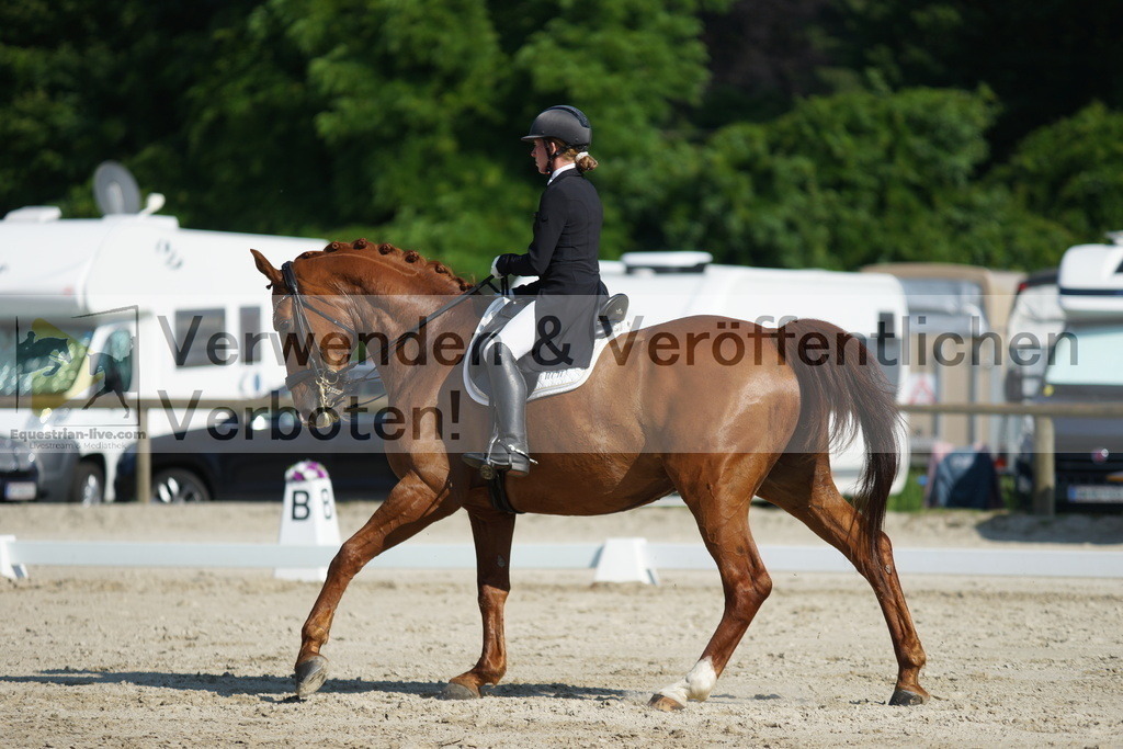 DSC02467 | equestrian-live-com