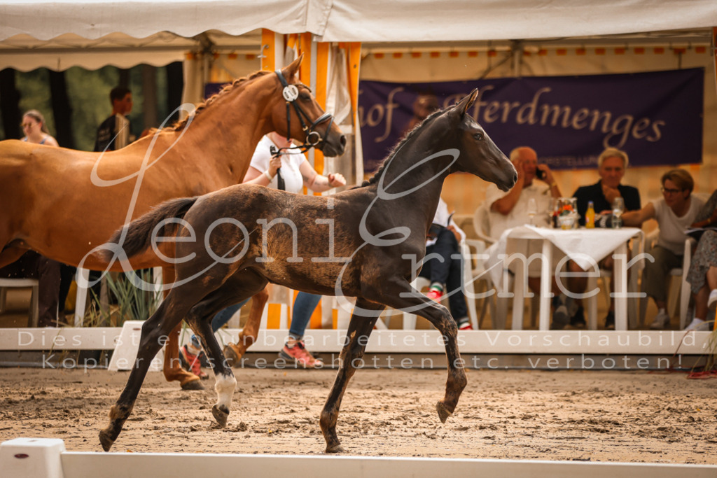 SaPA00151 | Leoni Ertmer Photography - Realisiert mit Pictrs.com