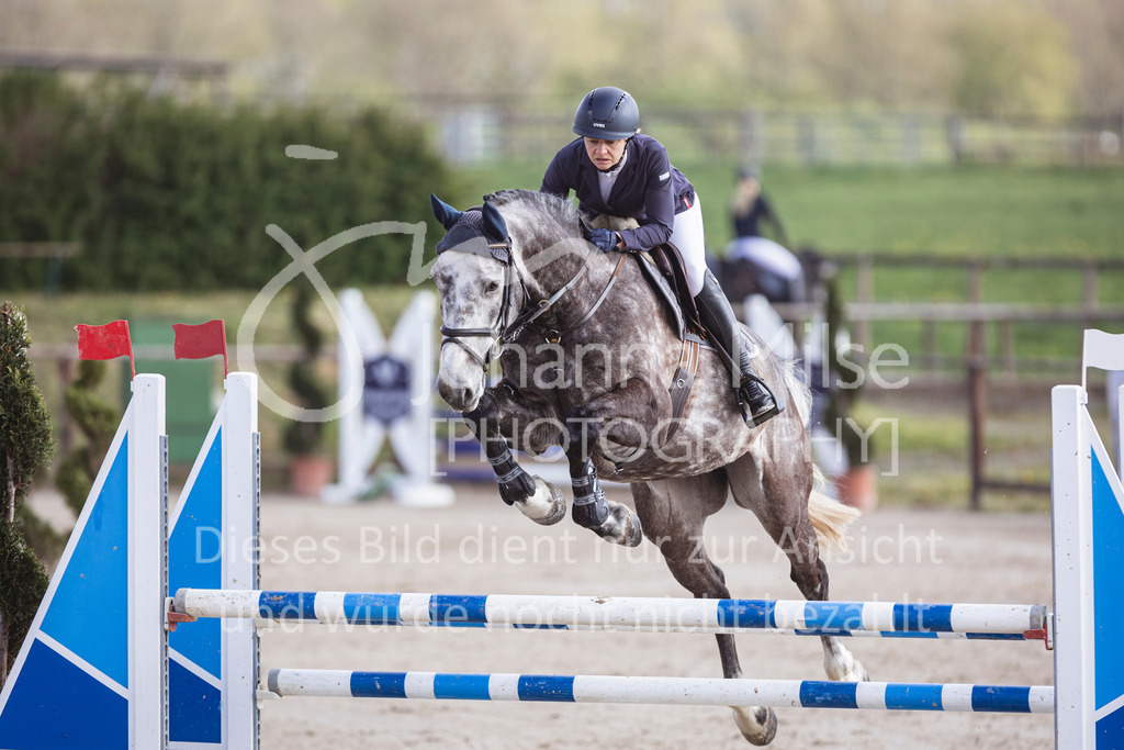 250419_Frühlingsfest_Springpf-L-332 | Deine schönsten Turniermomente als professionelle Fotos! Entdecke hochwertige Pferdesport-Fotografie im Online-Shop. Jetzt Fotos finden & bestellen!