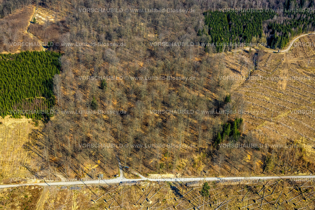 Moehnesee220301601 | Luftbild, Friedwald, Waldfriedhof, Halbinsel im Möhnesee, Waldsterben, Rodungen,   Delecke, Möhnesee, Sauerland, Nordrhein-Westfalen, Deutschland
