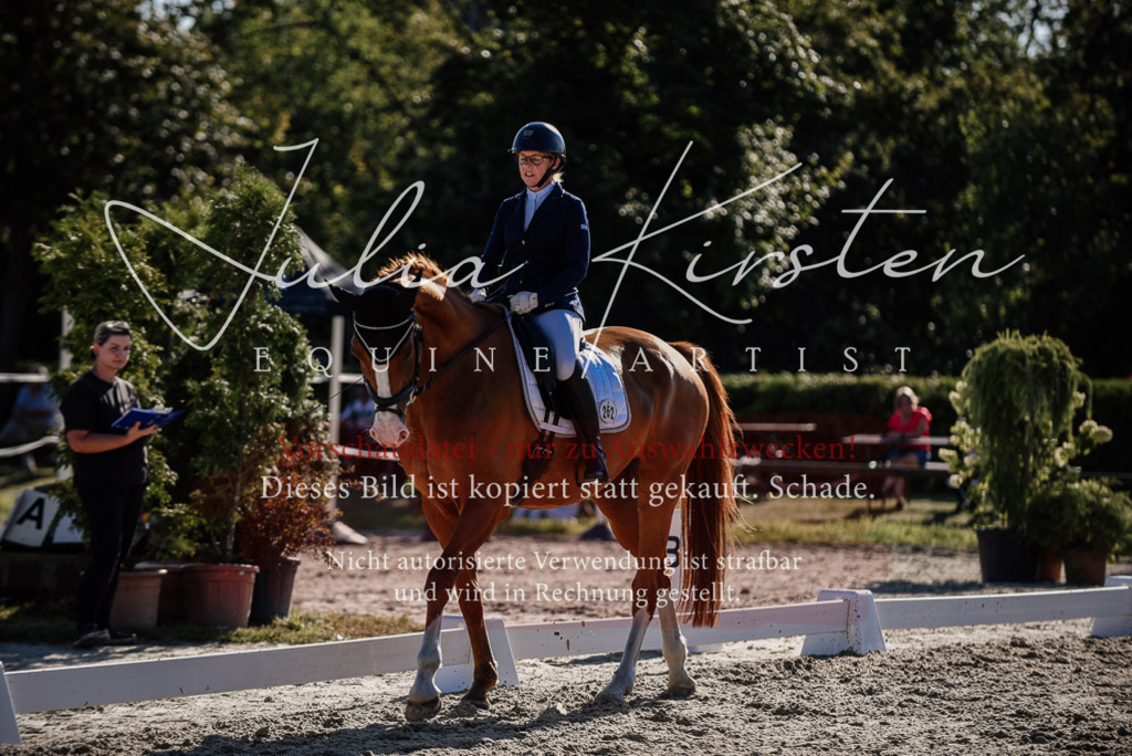 DSC_0472 | Pferde- und Turnierfotografie in Westsachsen. Pferdeportraits, Auftragszeichnungen und intuitive Kunst.