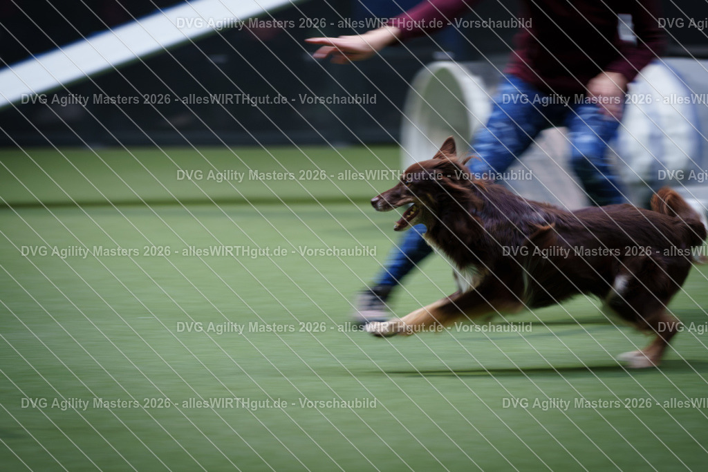 allesWIRTHgut_Tierfotografie-DVG_Agility_Masters_2026-15_28-7R506284 | Professionelle Tierfotografie in Mönchengladbach von Daniel Wirth (allesWIRTHgut). Liebevolle & natürliche Bilder von Hunden & Katzen für unvergessliche Erinnerungen.
