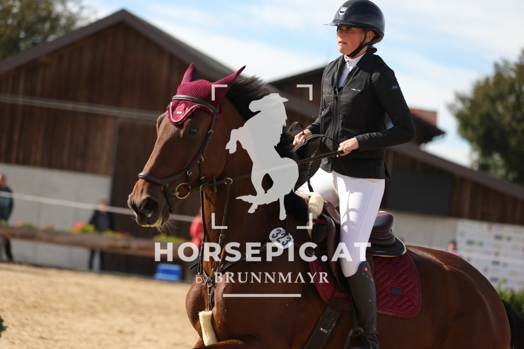 0P6A4653 | Willkommen bei Brunnmayr - Design & Fotografie – Ihrem Spezialisten für Reitturniere und Pferdeveranstaltungen in Oberösterreich, Salzburg und Bayern! Seit über 17 Jahren sind wir leidenschaftlich dabei.