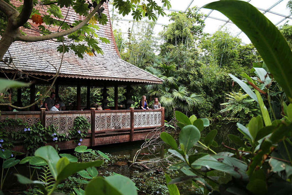 Gondwanaland im Zoo Leipzig | Das Team hinter BILDLEXIKON LEIPZIG bündelt historische wie aktuelle Informationen über die Stadt Leipzig in Text und Bild auf einer Plattform und stellt diese der interessierten Öffentlichkeit zur Verfügung.
