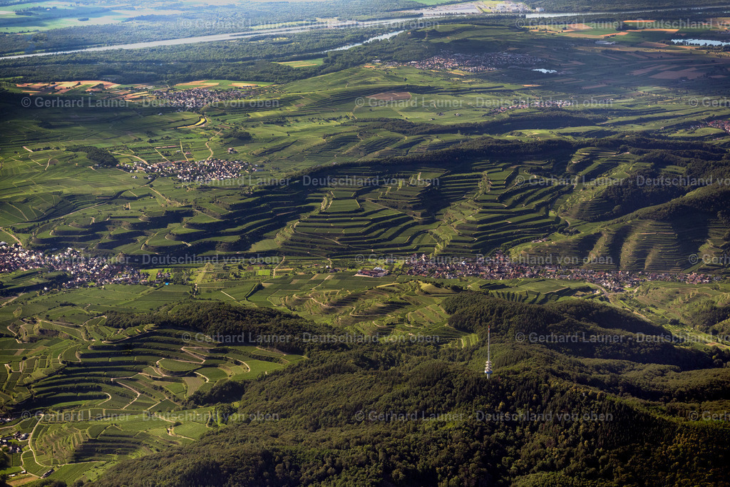 4034229 | Terassenweinberge am Kaiserstuhl bei Schelingen