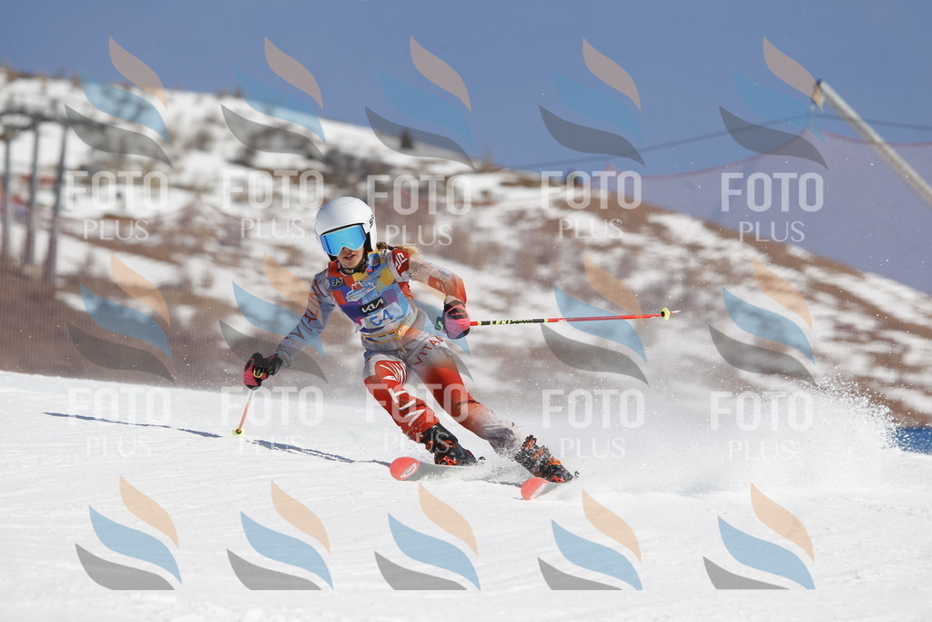 _U3G9458 | holidayphoto