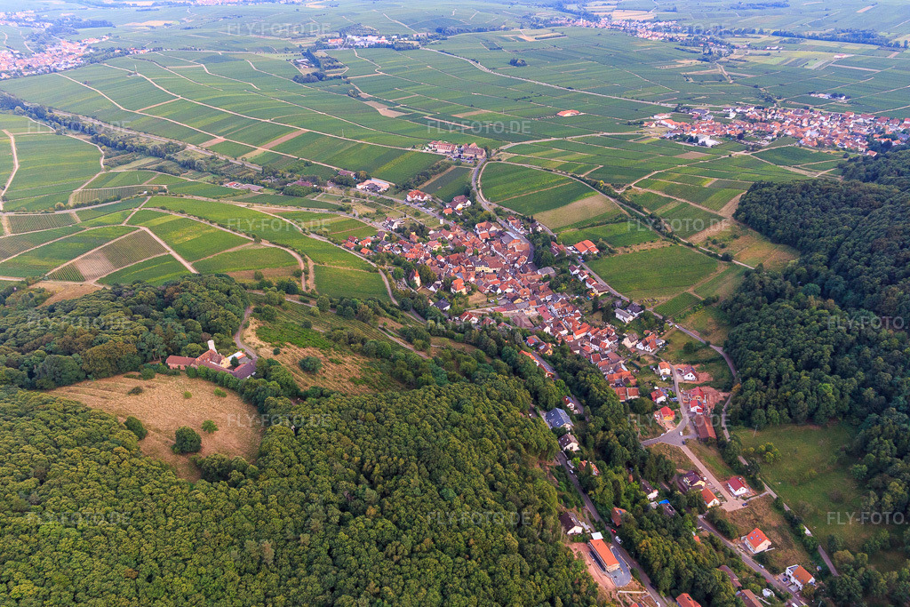 Luftbild: Winzerdorf zu Füßen des Haardtrands aus Nordwesten in Leinsweiler im Bundesland Rheinland-Pfalz in Deutschland. Foto: IMG_094596.jpg vom 02.09.2016 durch Werner Riehm/FLY-FOTO.de