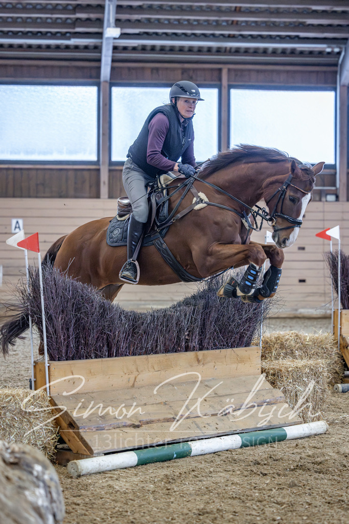 20260221-_3LI8566 | Tierfotografie Pferde, Hunde, Katzen, Haustiere.
Turnierfotografie Reitturniere, Reiten, Springreiten, Dressur in Hanau, dem Main-Kinzig-Kreis und dem Rhein-Main- Gebiet um Frankfurt