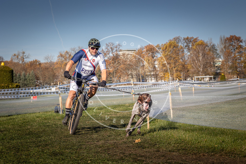 CaniXpix_0L8A5357 | Hundefotografie, Tierfotograf, Pfotenfotografie, Fotoshooting Hund, Hunde Portrait, Hundesport, Hundeportraits, Heideshooting, Hunde, Sportfotograf, Hundefotograf, Turnierhundsport, THS,  - Realisiert mit Pictrs.com