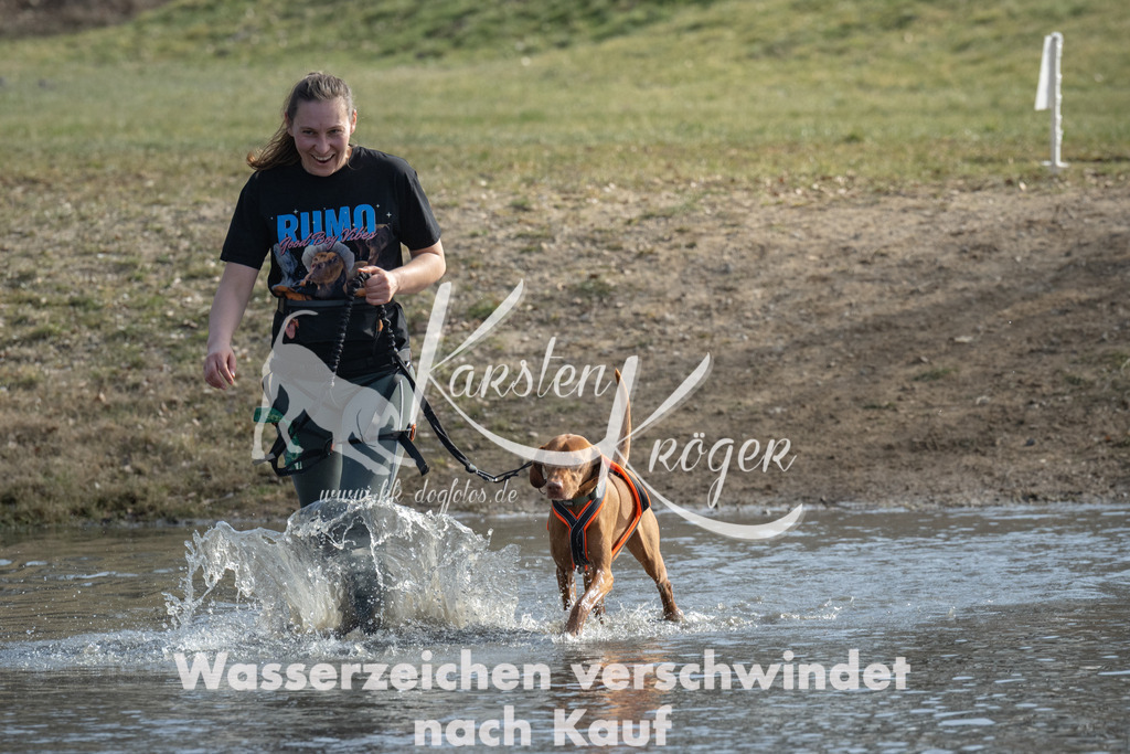 1240_ZZ91398 | kk-dogfotos