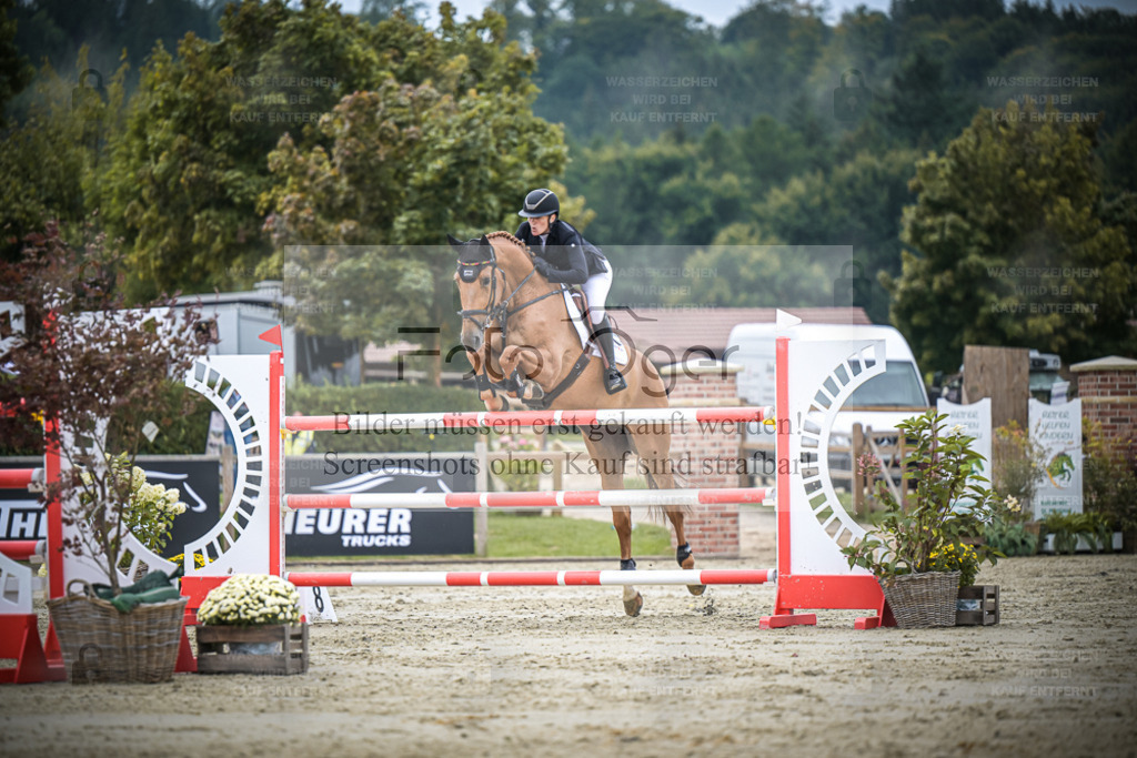 DOS_0907 | Entdecke hochwertige Reitturnierfotos von Foto Oger. Professionell, emotional und authentisch – jetzt Lieblingsmomente im Shop bestellen. - Realisiert mit Pictrs.com