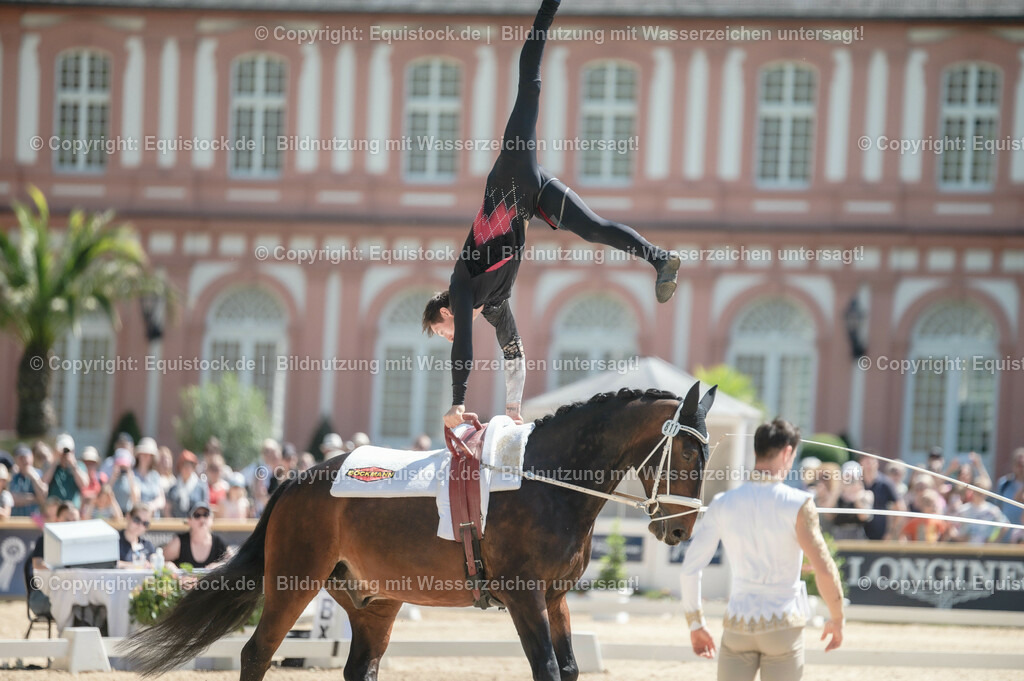 20230528_Voltigieren_NASPA_0140 | equistock