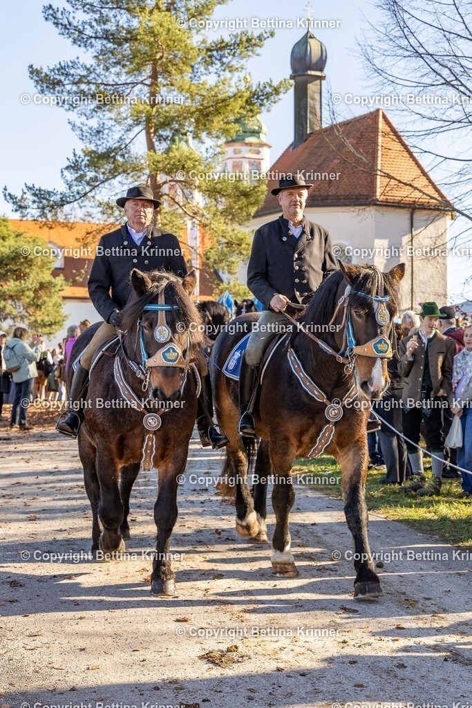 LBT25-1136 | foto-bettina-krinner - Realisiert mit Pictrs.com