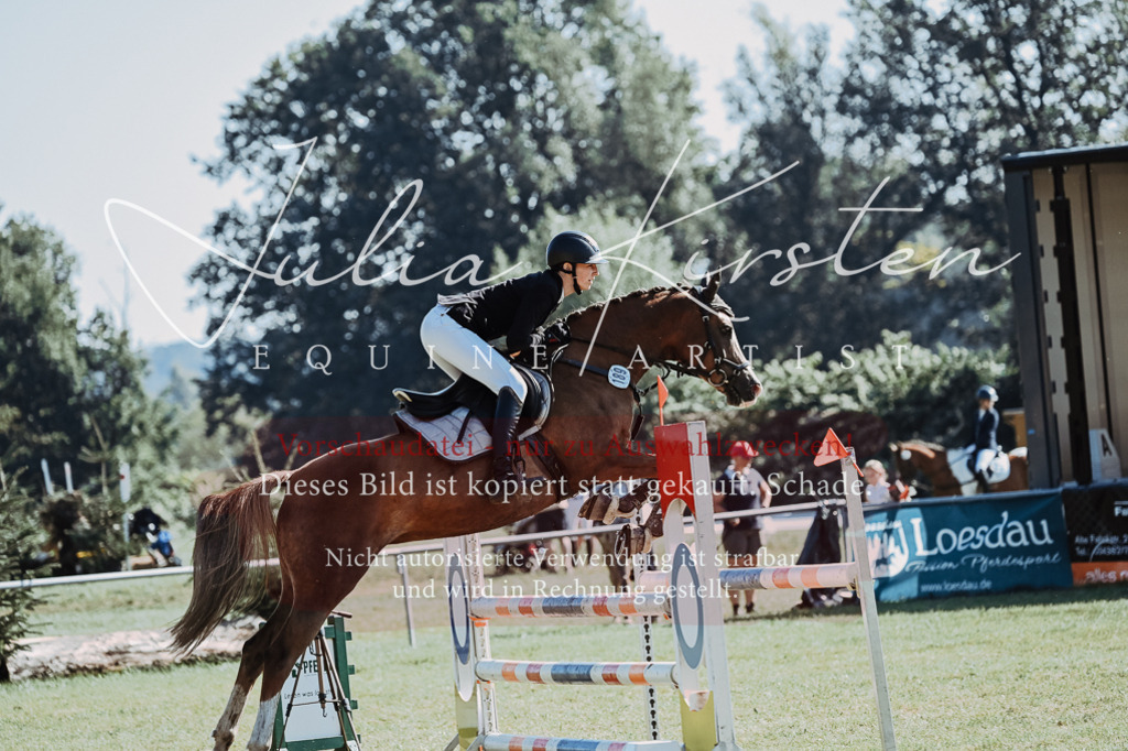 DSC_5416 | Pferde- und Turnierfotografie in Westsachsen. Pferdeportraits, Auftragszeichnungen und intuitive Kunst.