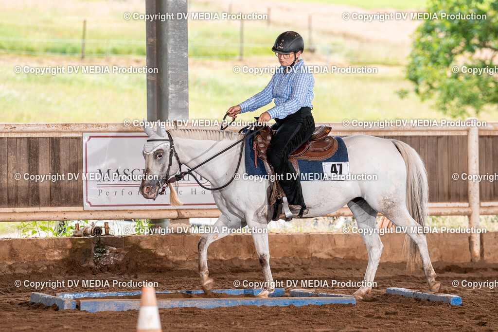 Erbach Tag 2-341 | dv-media-shop - Realisiert mit Pictrs.com