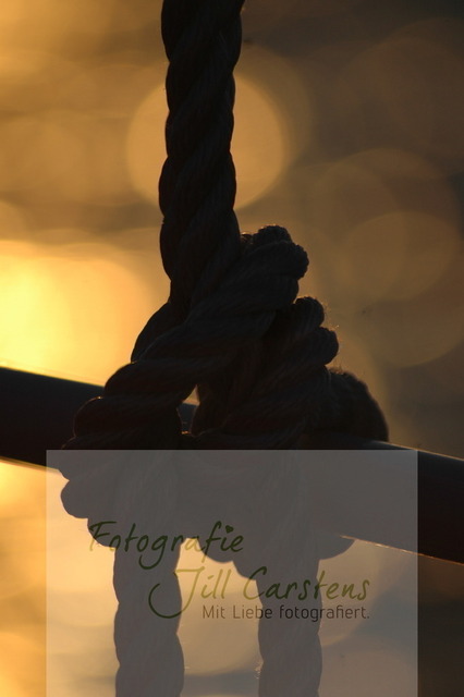 DSC_0040 | fotografie-jill-carstens