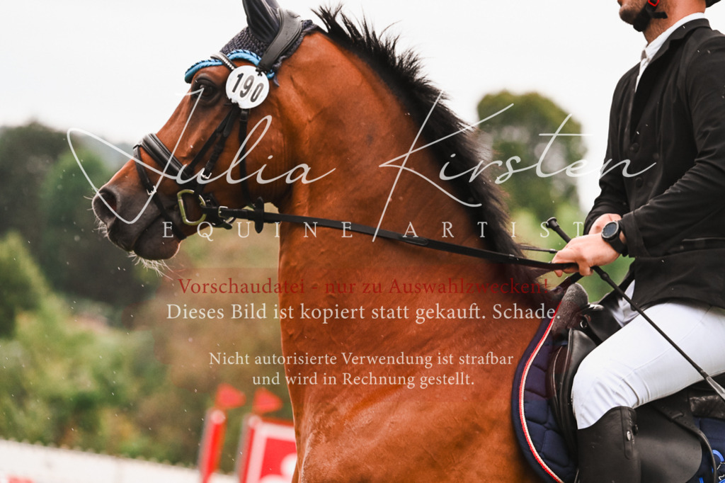 DSC_6329 | Pferde- und Turnierfotografie in Westsachsen. Pferdeportraits, Auftragszeichnungen und intuitive Kunst.