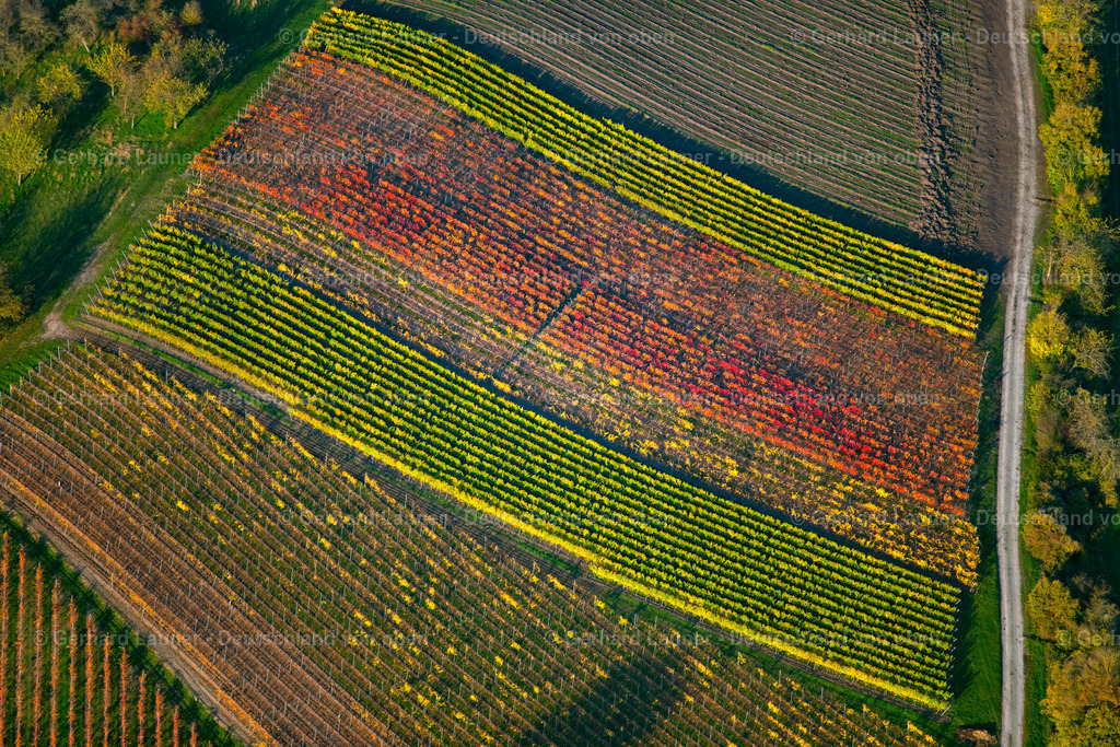 3905484 | Weinberge am Busigberg Großheubach