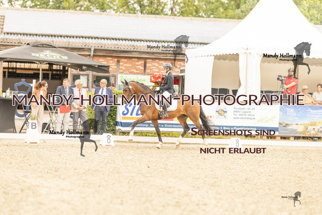 SW 4-144 | mandyhollmannphotographie