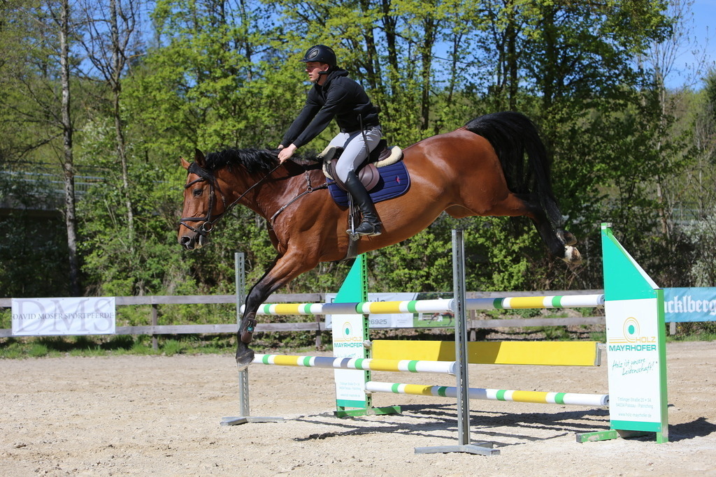 DL2Q3147 | Willkommen bei Brunnmayr - Design & Fotografie – Ihrem Spezialisten für Reitturniere und Pferdeveranstaltungen in Oberösterreich, Salzburg und Bayern! Seit über 17 Jahren sind wir leidenschaftlich dabei.