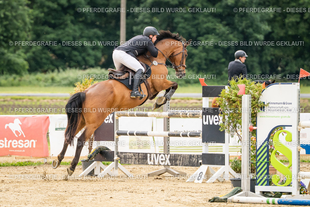 DSC06146 | Pferdegrafie