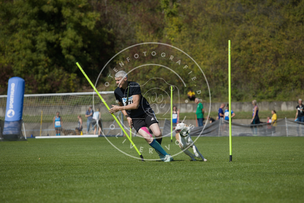 0L8A6660 | Hundefotografie, Tierfotograf, Pfotenfotografie, Fotoshooting Hund, Hunde Portrait, Hundesport, Hundeportraits, Heideshooting, Hunde, Sportfotograf, Hundefotograf, Turnierhundsport, THS,  - Realisiert mit Pictrs.com