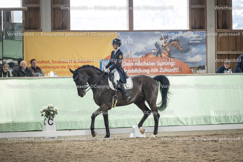 _D5A5997 | Emotionale Pferde- & People-Fotografie rund um Heidelberg, Leimen & Umgebung. Natürliche Fotos von Pferd, Mensch & Familie. Jetzt Termin sichern!