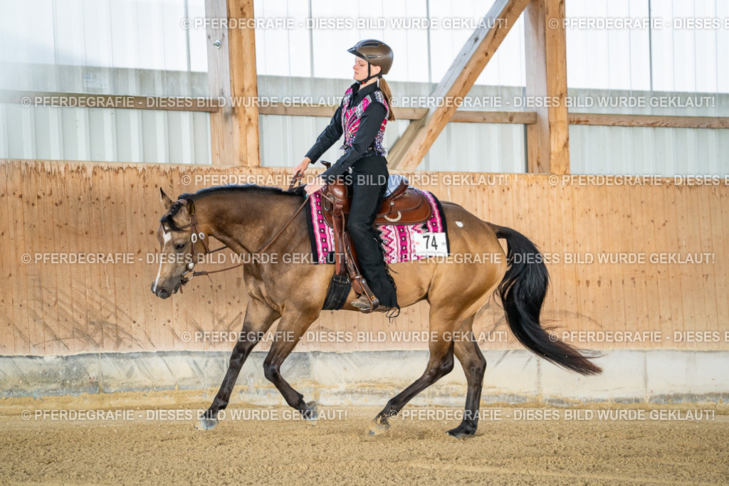 DSC07876 | Pferdegrafie