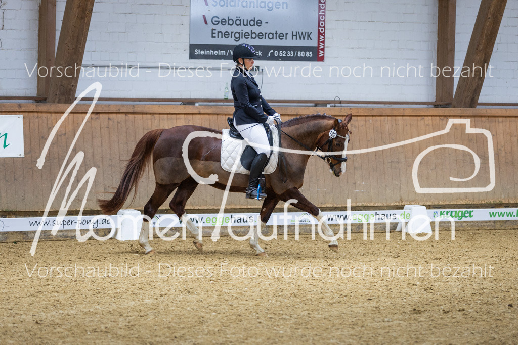 Sth-LPO25-A-Dr-151 | MomenTaufnahmen Pferdesportfotos