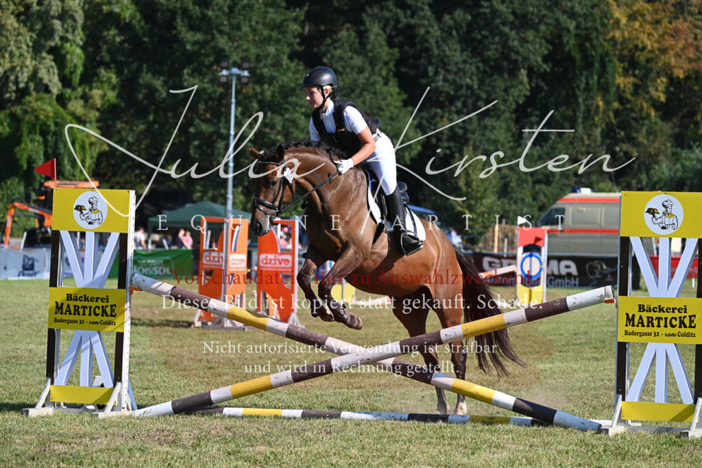 DSC_5306 | Pferde- und Turnierfotografie in Westsachsen. Pferdeportraits, Auftragszeichnungen und intuitive Kunst.