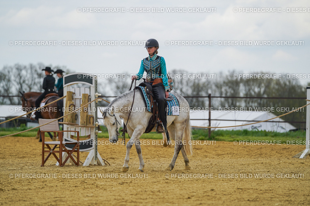 DSC06537 | Pferdegrafie